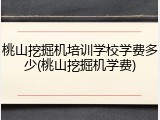 桃山挖掘机培训学校学费多少(桃山挖掘机学费)