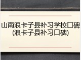 山南浪卡子县补习学校口碑(浪卡子县补习口碑)