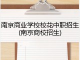 南京商业学校校花中职招生(南京商校招生)