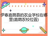 伊春嘉荫县的农业学校在哪里(嘉荫农校位置)