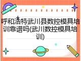 呼和浩特武川县数控模具培训靠谱吗(武川数控模具培训)