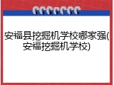 安福县挖掘机学校哪家强(安福挖掘机学校)