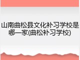 山南曲松县文化补习学校是哪一家(曲松补习学校)