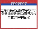 宝鸡眉县农业技术学校单招分数线畜牧兽医(眉县农校畜牧兽医单招分)