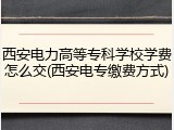 西安电力高等专科学校学费怎么交(西安电专缴费方式)