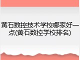 黄石数控技术学校哪家好一点(黄石数控学校排名)