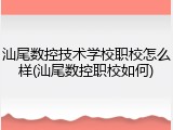 汕尾数控技术学校职校怎么样(汕尾数控职校如何)