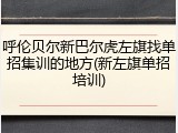 呼伦贝尔新巴尔虎左旗找单招集训的地方(新左旗单招培训)