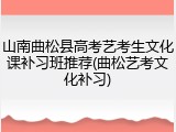 山南曲松县高考艺考生文化课补习班推荐(曲松艺考文化补习)