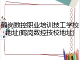 鹤岗数控职业培训技工学校地址(鹤岗数控技校地址)