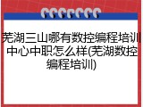 芜湖三山哪有数控编程培训中心中职怎么样(芜湖数控编程培训)