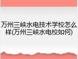 万州三峡水电技术学校怎么样(万州三峡水电校如何)