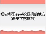 福安哪里有学挖掘机的地方(福安学挖掘机)