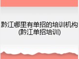 黔江哪里有单招的培训机构(黔江单招培训)