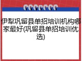 伊犁巩留县单招培训机构哪家最好(巩留县单招培训优选)