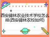 西安碑林农业技术学校怎么样(西安碑林农校如何)