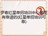 伊春红星单招培训中心哪里有靠谱的(红星单招培训可靠)