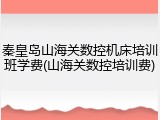 秦皇岛山海关数控机床培训班学费(山海关数控培训费)
