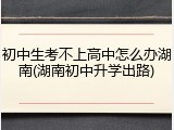 初中生考不上高中怎么办湖南(湖南初中升学出路)