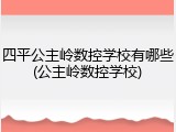 四平公主岭数控学校有哪些(公主岭数控学校)