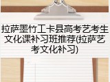 拉萨墨竹工卡县高考艺考生文化课补习班推荐(拉萨艺考文化补习)