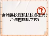 合浦县挖掘机技校哪里有(合浦挖掘机学校)