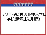 武汉工程科技职业技术学院学校(武汉工程职院)