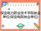 保定电力职业技术学院就业单位(保定电院就业单位)