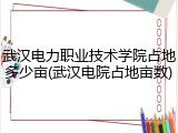 武汉电力职业技术学院占地多少亩(武汉电院占地亩数)