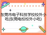 东莞市电子科技学校校外小吃(东莞电校校外小吃)