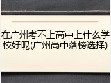 在广州考不上高中上什么学校好呢(广州高中落榜选择)