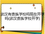 武汉有贵族学校吗现在开学吗(武汉贵族学校开学)
