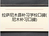 拉萨尼木县补习学校口碑(尼木补习口碑)
