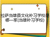 拉萨当雄县文化补习学校是哪一家(当雄补习学校)