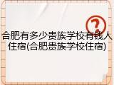 合肥有多少贵族学校有钱人住宿(合肥贵族学校住宿)