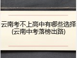 云南考不上高中有哪些选择(云南中考落榜出路)