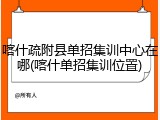 喀什疏附县单招集训中心在哪(喀什单招集训位置)