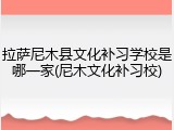 拉萨尼木县文化补习学校是哪一家(尼木文化补习校)