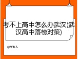考不上高中怎么办武汉(武汉高中落榜对策)