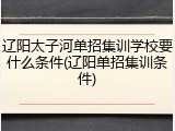 辽阳太子河单招集训学校要什么条件(辽阳单招集训条件)