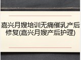 嘉兴月嫂培训无痛催乳产后修复(嘉兴月嫂产后护理)