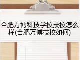 合肥万博科技学校技校怎么样(合肥万博技校如何)