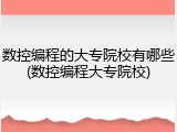 数控编程的大专院校有哪些(数控编程大专院校)