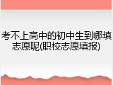 考不上高中的初中生到哪填志愿呢(职校志愿填报)