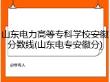 山东电力高等专科学校安徽分数线(山东电专安徽分)