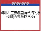 朔州右玉县哪里有单招的学校啊(右玉单招学校)