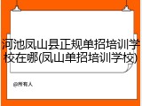 河池凤山县正规单招培训学校在哪(凤山单招培训学校)