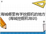 海城哪里有学挖掘机的地方(海城挖掘机培训)