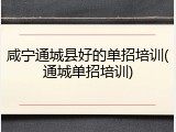 咸宁通城县好的单招培训(通城单招培训)