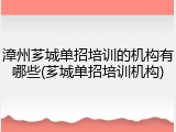 漳州芗城单招培训的机构有哪些(芗城单招培训机构)